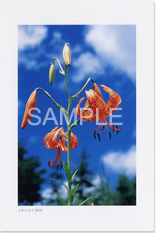 �R�I�j����