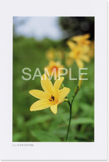 �j�b�R�E�L�X�Q