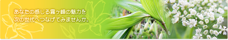 ���Ȃ��̊����閶����̖��͂����̐���ւȂ��Ă݂܂��񂩁B