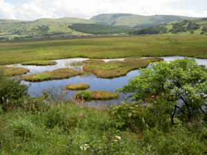 ����������������ԎR