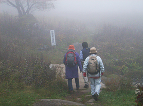 ���̒���