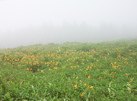 ���̑���