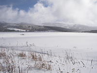 �ϐ�̔�����������