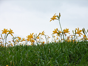 �j�b�R�E�L�X�Q