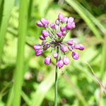 ���}���b�L���E